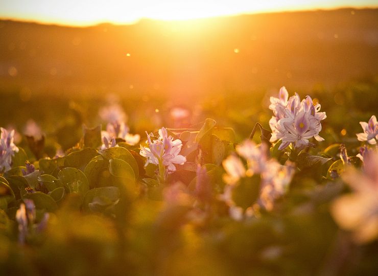 Kender du en der er udsat for vold?