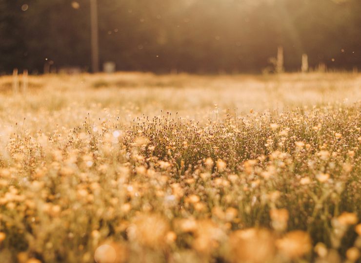 Skal vi hjælpe dig frem til et liv uden vold?